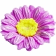 Gerbera small 3D silicone mold