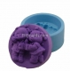 Bears clean silicone mold