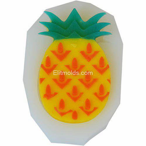 Mold 107 pineapple