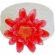 Mold 079 aster