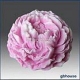 Peony 3D silicone mold