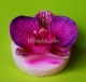 Candle Orchid 3D silicone mold
