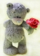 Teddy with the rose 3D silicone mold